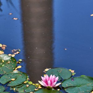 Spiegelung...... Werner Schuffenhauer